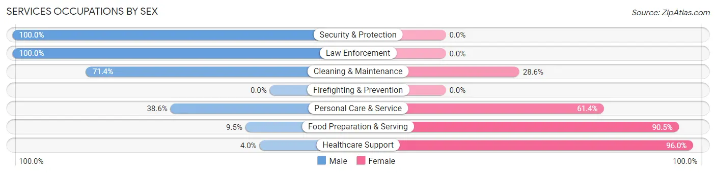 Services Occupations by Sex in Remsen