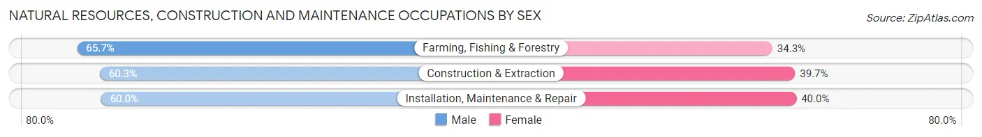 Natural Resources, Construction and Maintenance Occupations by Sex in Riceville