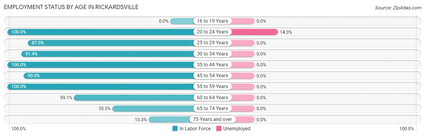 Employment Status by Age in Rickardsville