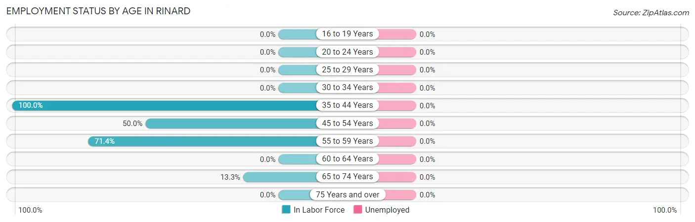 Employment Status by Age in Rinard