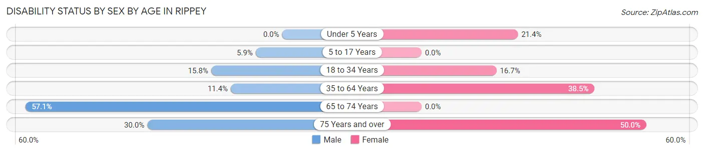Disability Status by Sex by Age in Rippey