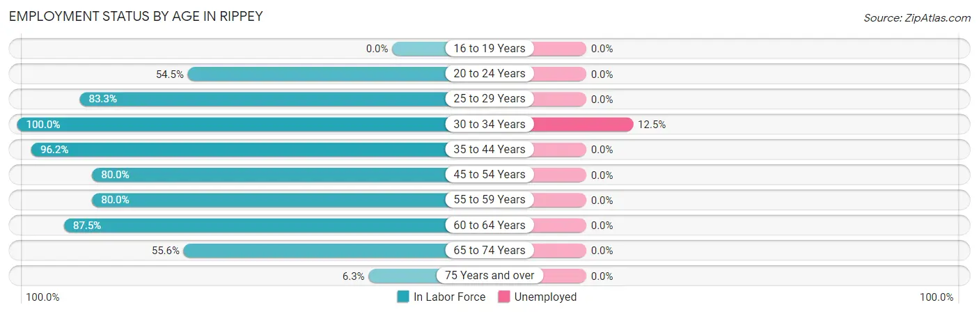 Employment Status by Age in Rippey