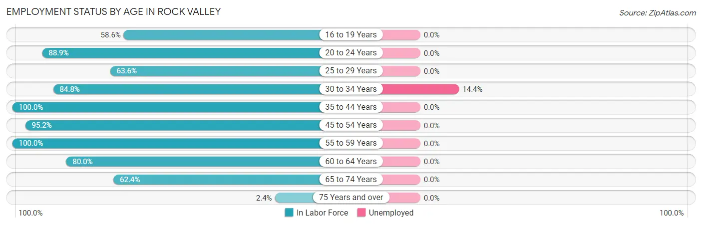 Employment Status by Age in Rock Valley