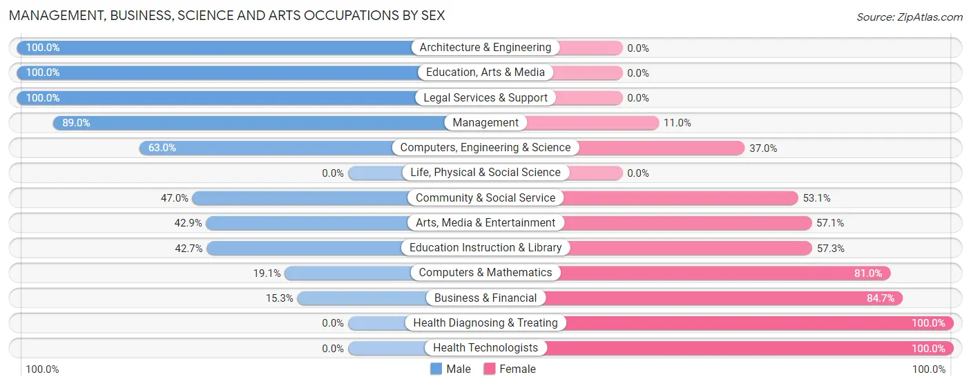 Management, Business, Science and Arts Occupations by Sex in Rock Valley