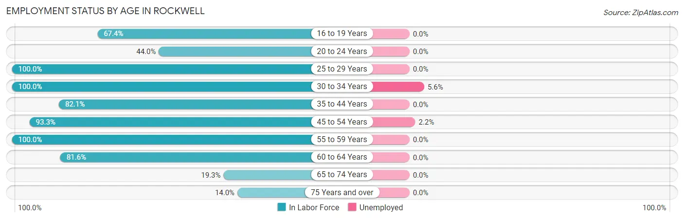 Employment Status by Age in Rockwell