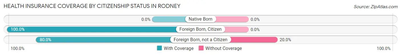 Health Insurance Coverage by Citizenship Status in Rodney