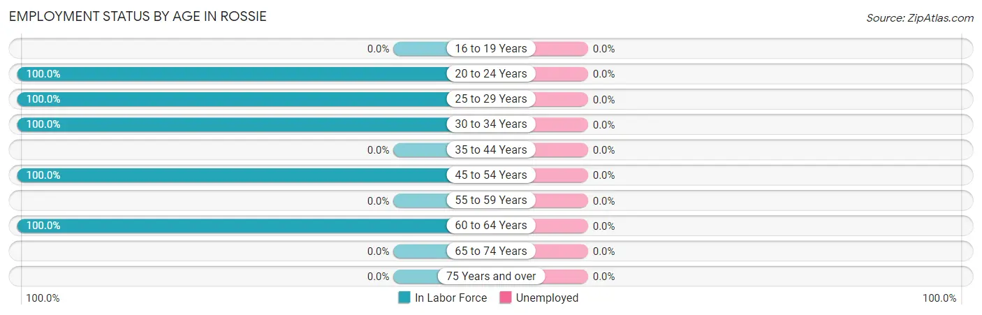 Employment Status by Age in Rossie