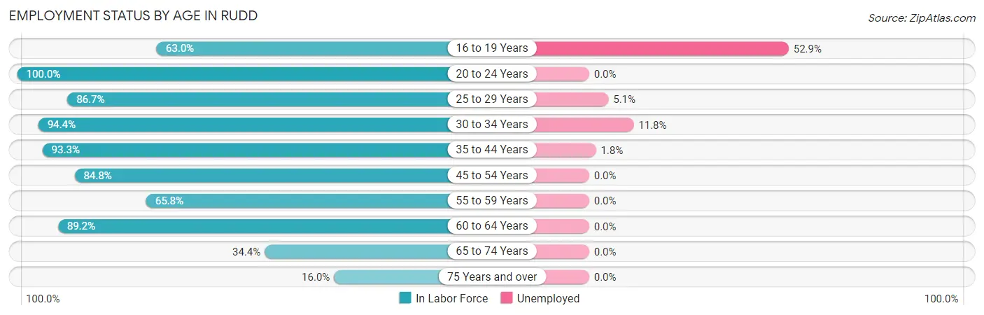 Employment Status by Age in Rudd
