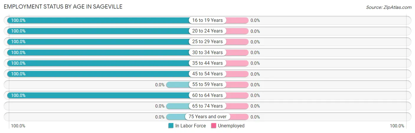 Employment Status by Age in Sageville
