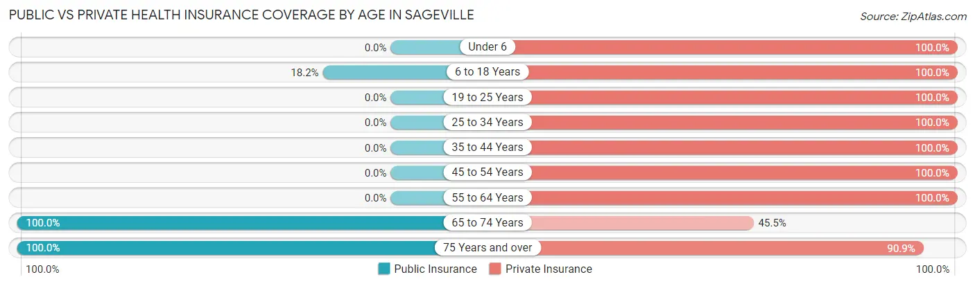 Public vs Private Health Insurance Coverage by Age in Sageville