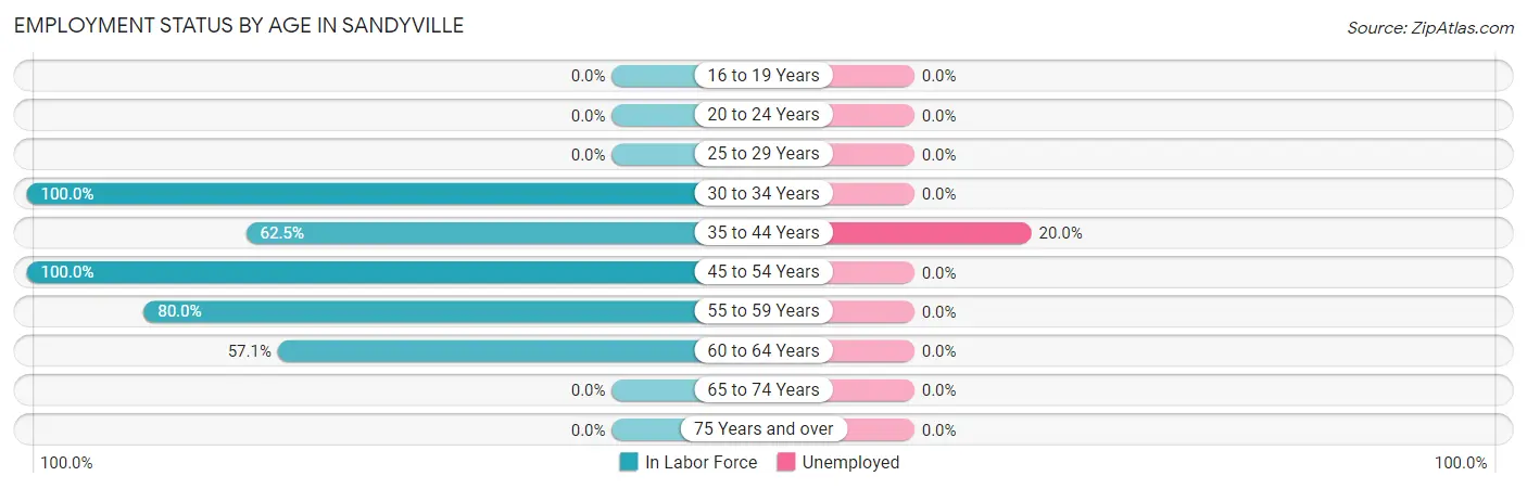 Employment Status by Age in Sandyville