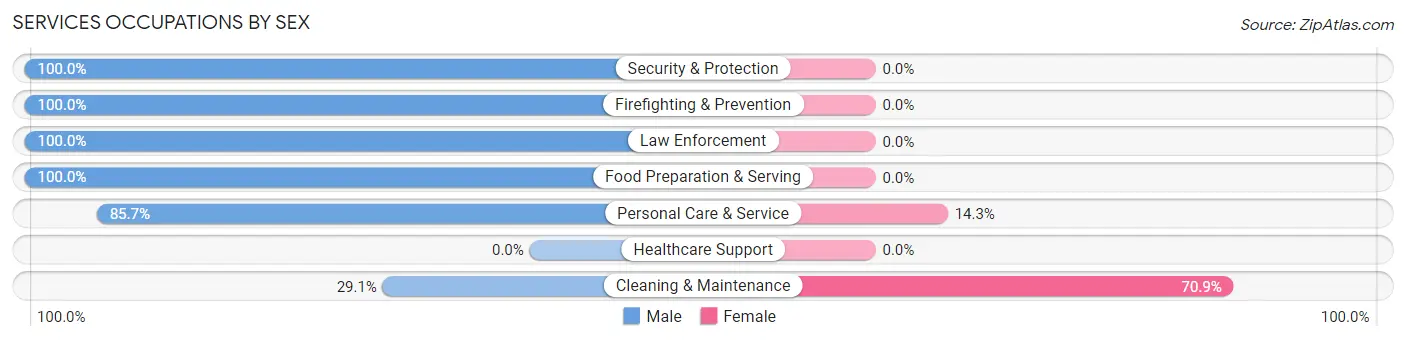 Services Occupations by Sex in Saylorville
