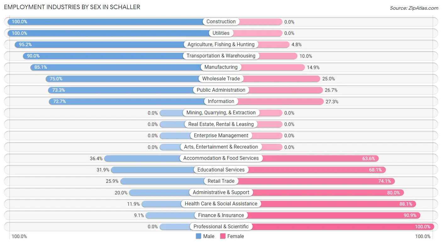 Employment Industries by Sex in Schaller