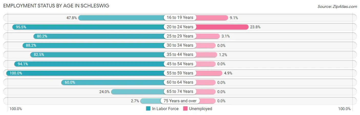 Employment Status by Age in Schleswig