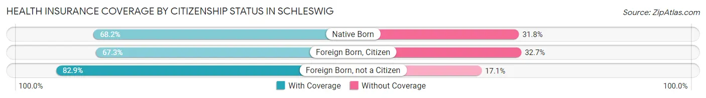 Health Insurance Coverage by Citizenship Status in Schleswig