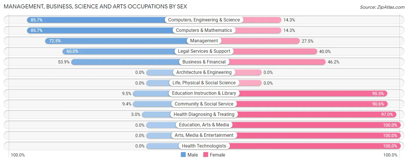 Management, Business, Science and Arts Occupations by Sex in Schleswig