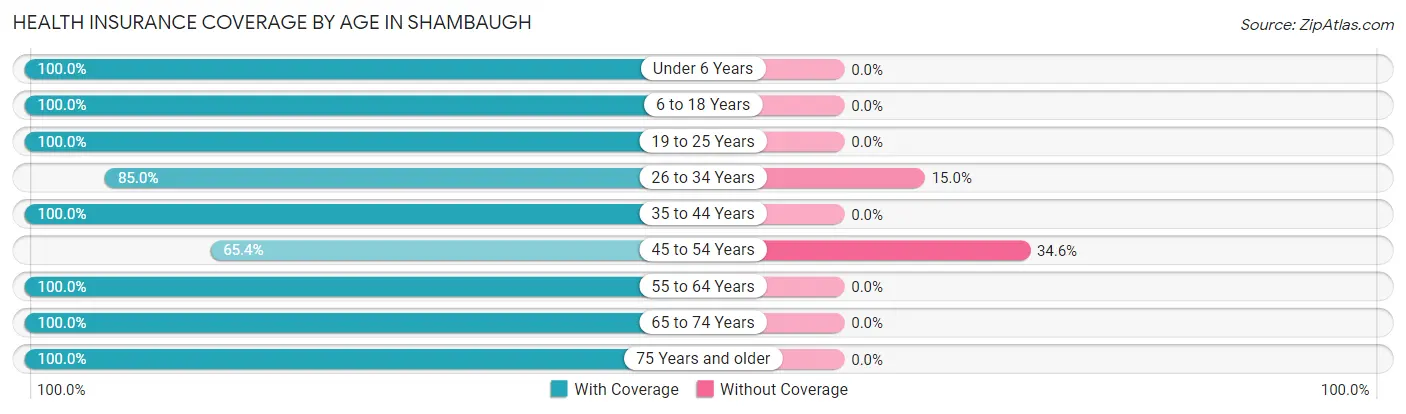 Health Insurance Coverage by Age in Shambaugh