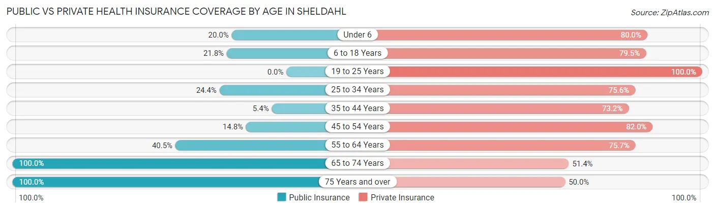 Public vs Private Health Insurance Coverage by Age in Sheldahl