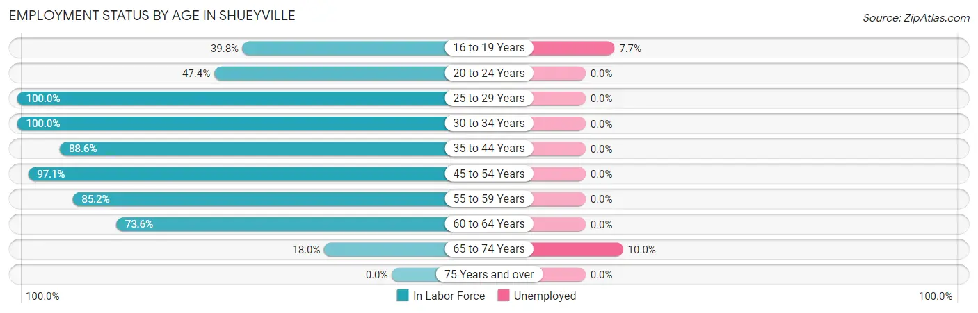 Employment Status by Age in Shueyville
