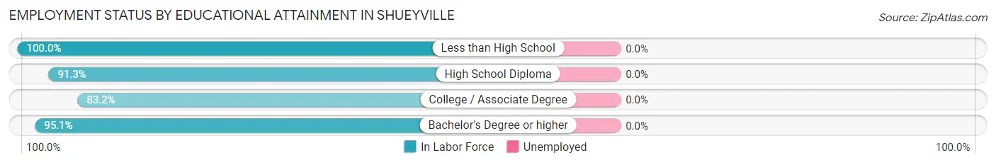 Employment Status by Educational Attainment in Shueyville