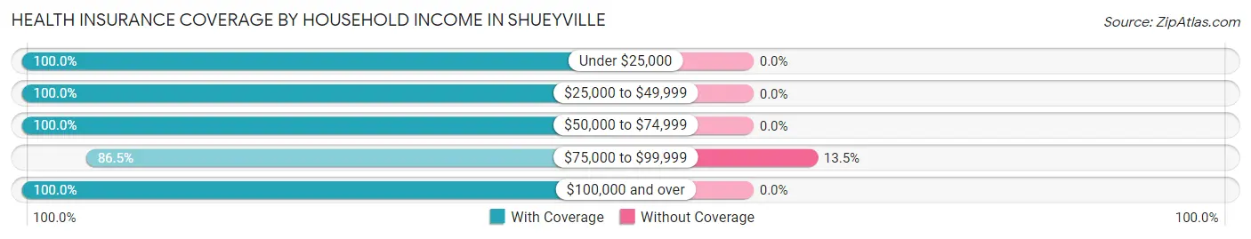 Health Insurance Coverage by Household Income in Shueyville