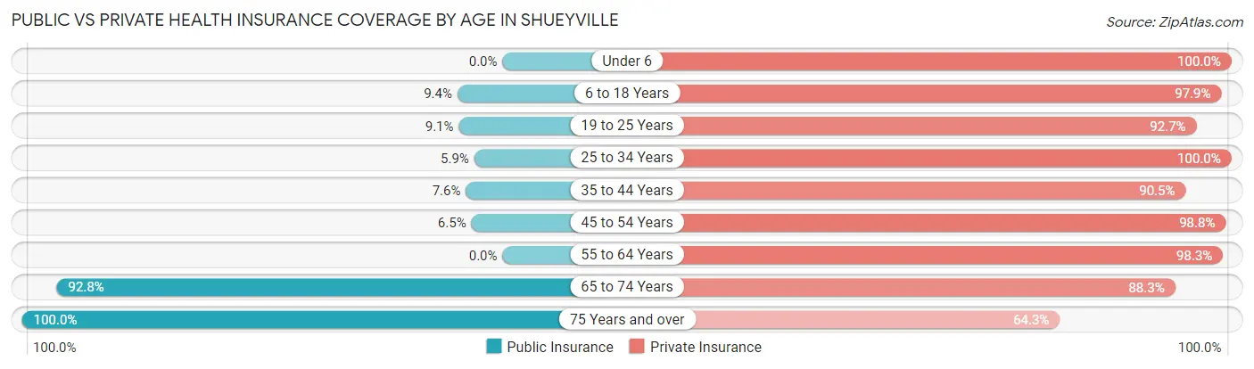 Public vs Private Health Insurance Coverage by Age in Shueyville
