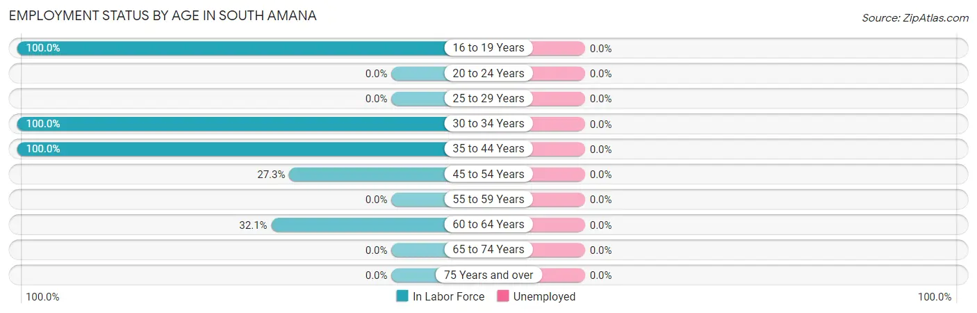 Employment Status by Age in South Amana