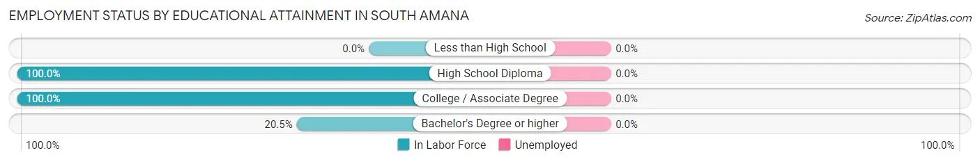 Employment Status by Educational Attainment in South Amana