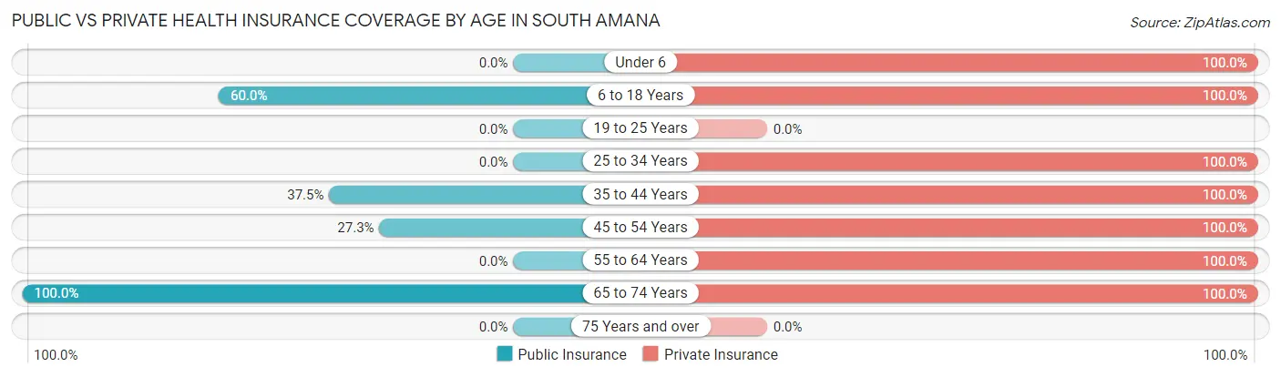 Public vs Private Health Insurance Coverage by Age in South Amana