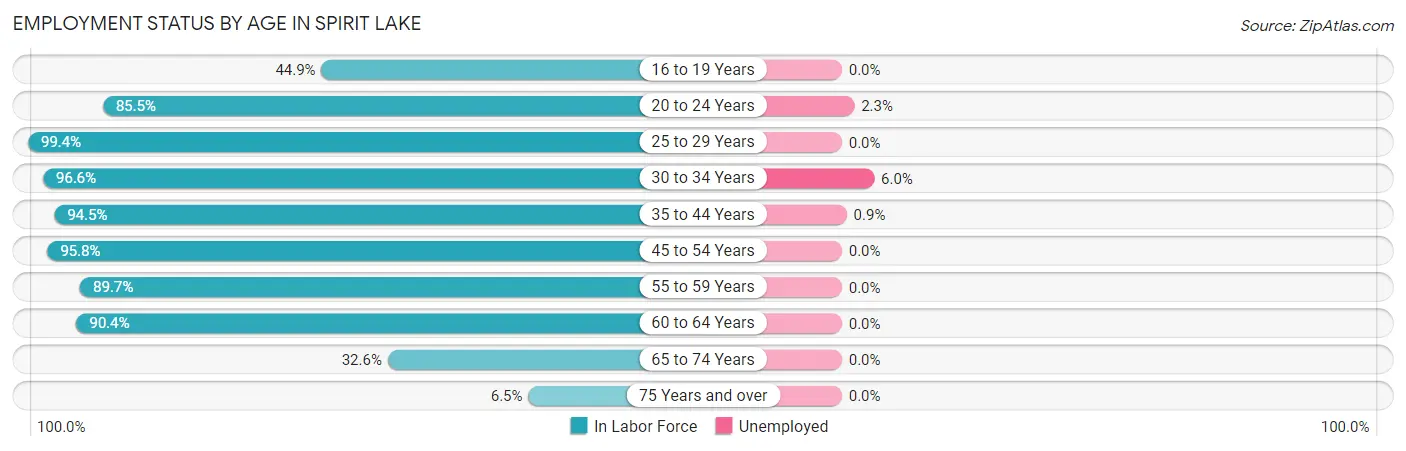 Employment Status by Age in Spirit Lake