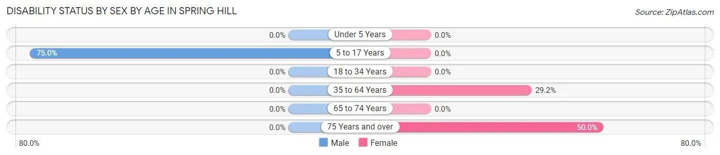 Disability Status by Sex by Age in Spring Hill