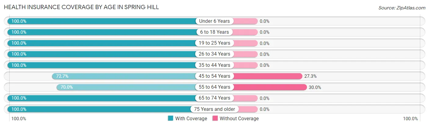 Health Insurance Coverage by Age in Spring Hill
