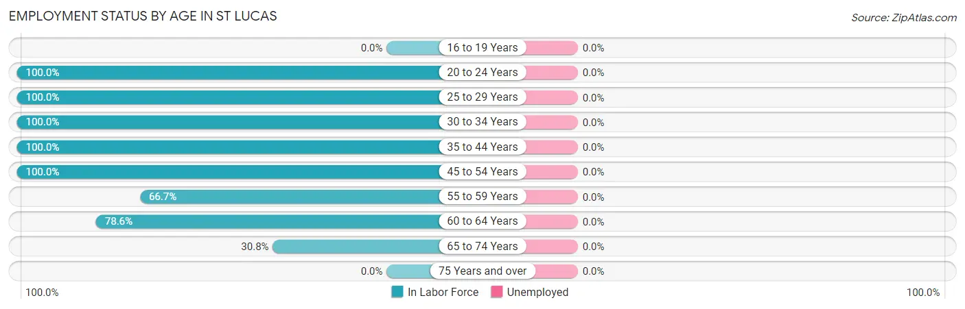 Employment Status by Age in St Lucas