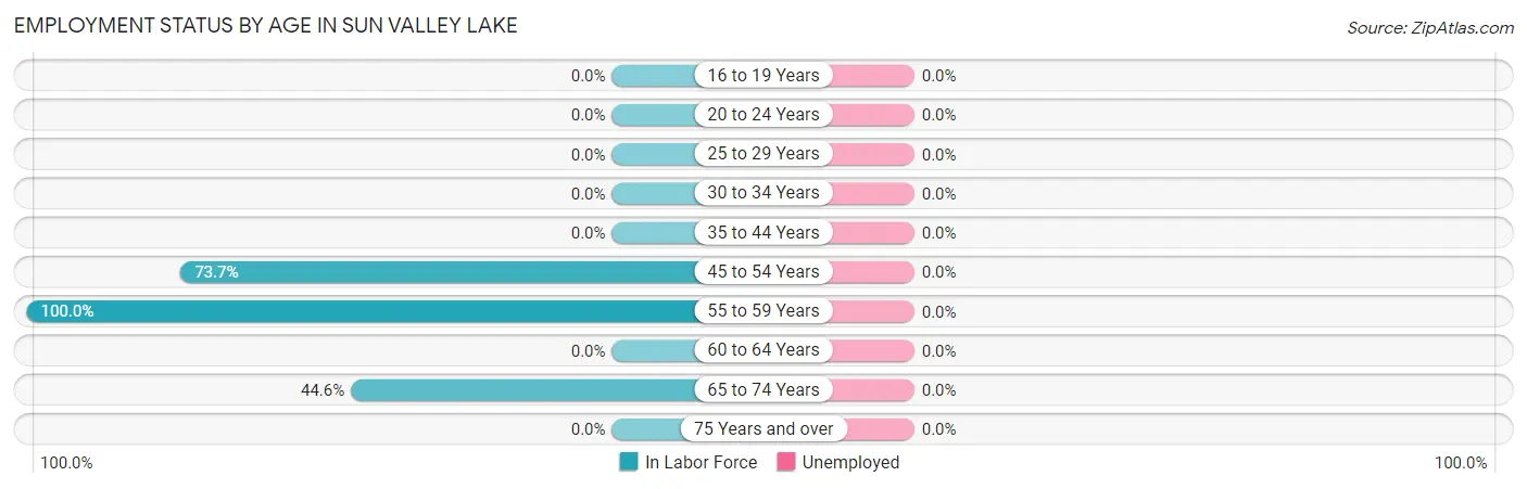 Employment Status by Age in Sun Valley Lake