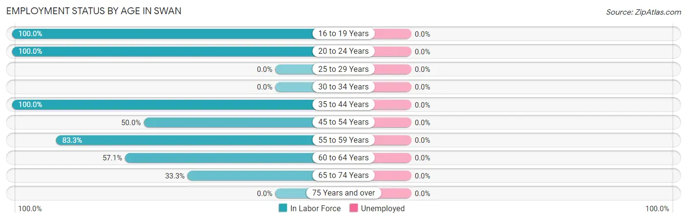 Employment Status by Age in Swan