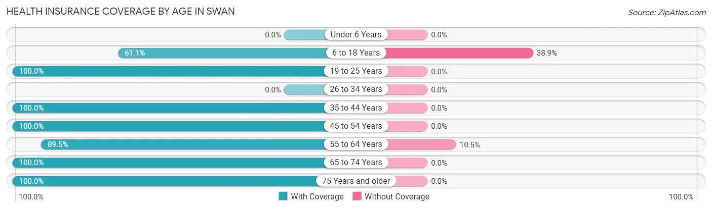 Health Insurance Coverage by Age in Swan