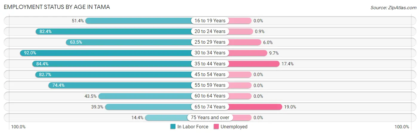 Employment Status by Age in Tama