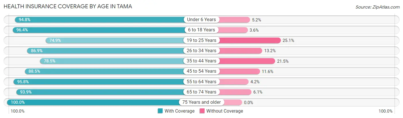 Health Insurance Coverage by Age in Tama