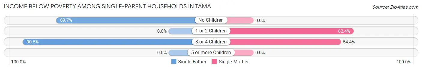 Income Below Poverty Among Single-Parent Households in Tama
