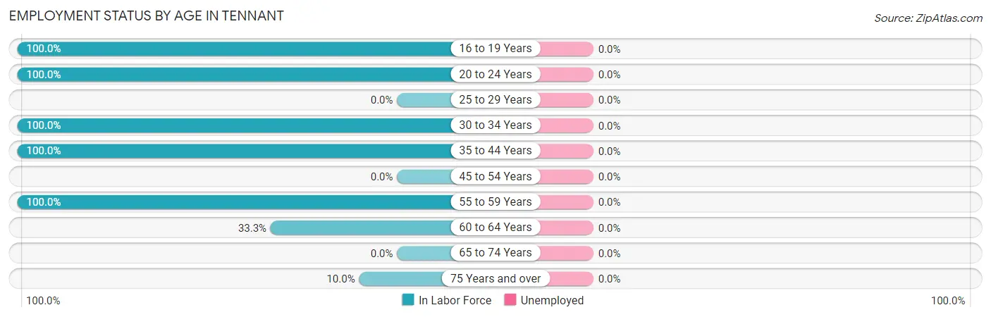 Employment Status by Age in Tennant