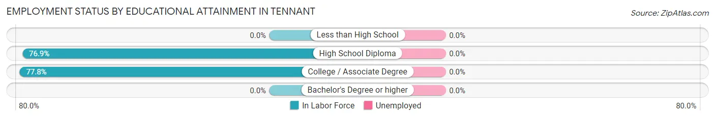 Employment Status by Educational Attainment in Tennant