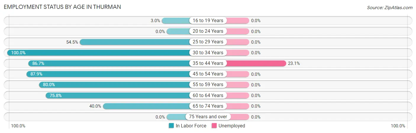 Employment Status by Age in Thurman