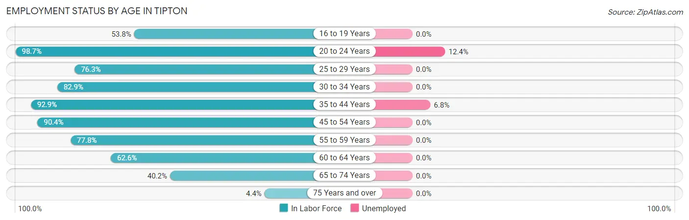 Employment Status by Age in Tipton