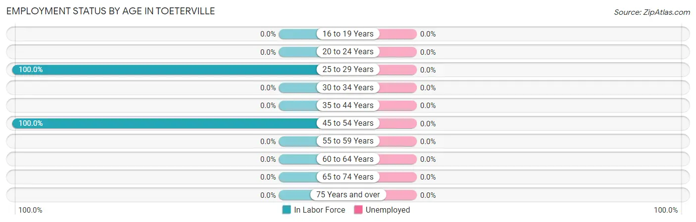 Employment Status by Age in Toeterville