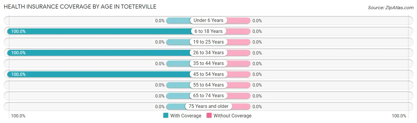 Health Insurance Coverage by Age in Toeterville