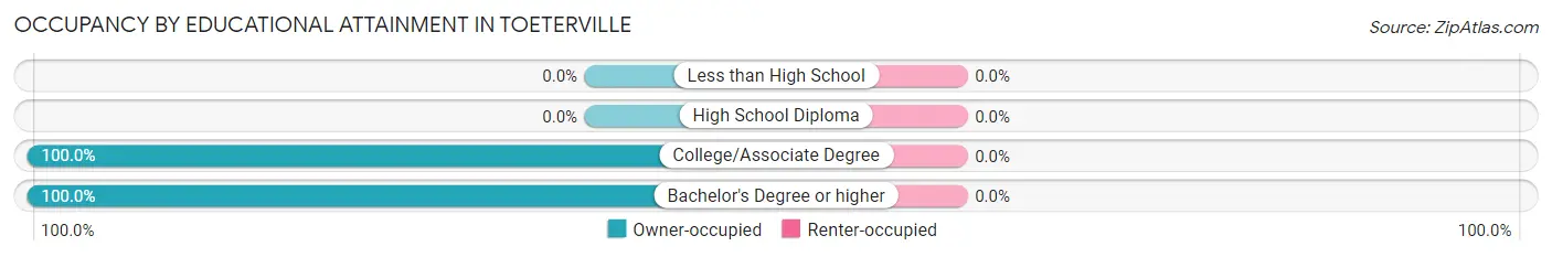 Occupancy by Educational Attainment in Toeterville