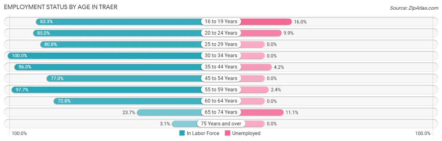 Employment Status by Age in Traer