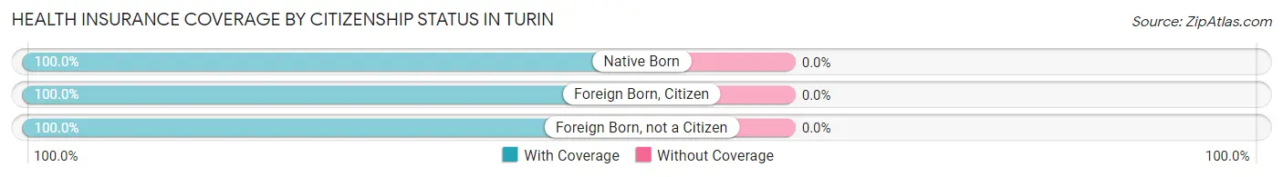 Health Insurance Coverage by Citizenship Status in Turin