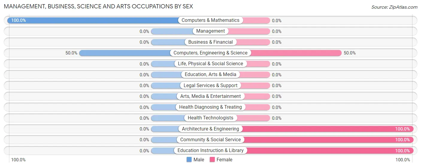 Management, Business, Science and Arts Occupations by Sex in Turin