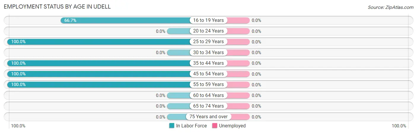 Employment Status by Age in Udell